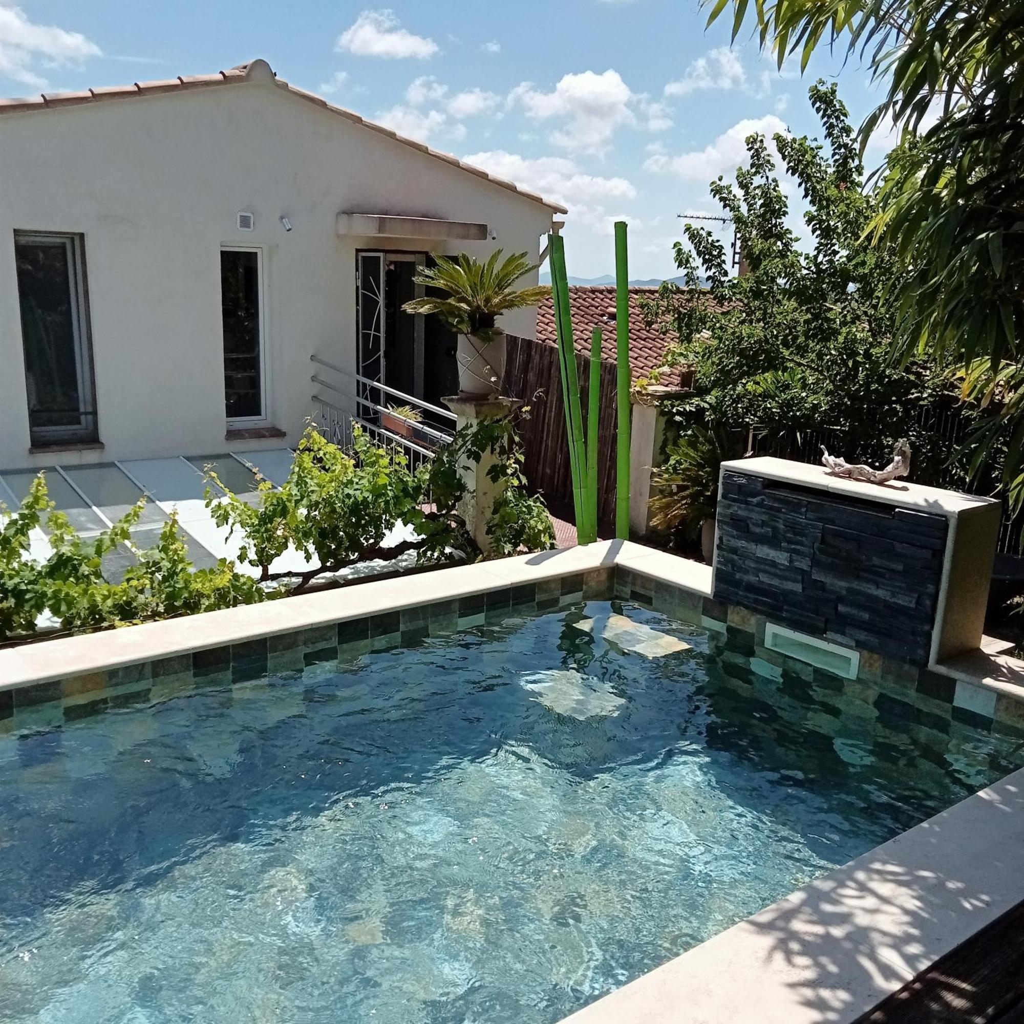 Logement De Charme Avec Piscine Et Jacuzzi Carnoules  Екстер'єр фото